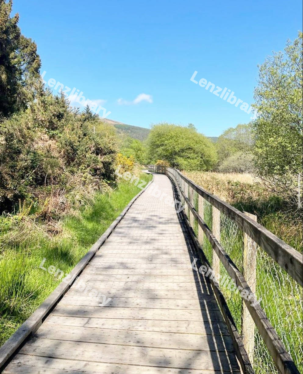 Wooden Walkway